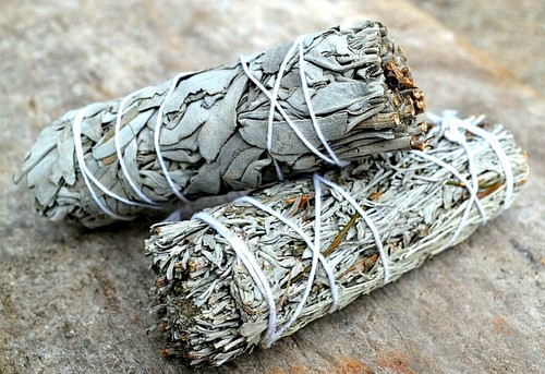 White sage smudge - white, sticks