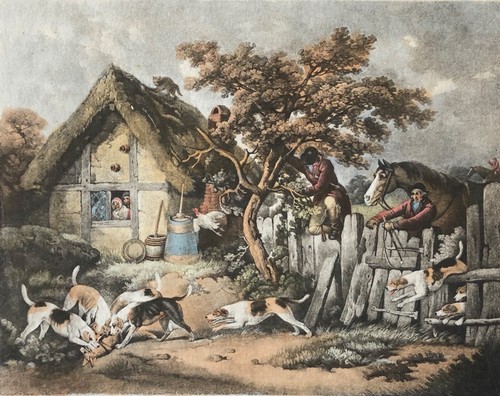 Fox hunting the - the, death