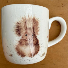 Mug Royal Worcester Wrendale Design Country Animals Red Squirrel 