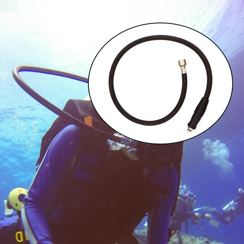 Scuba diving low - scuba,
