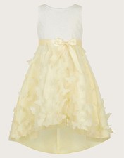 Monsoon Flutter 3D Occasion