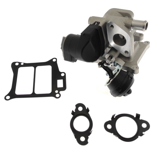 Egr valve with mountings - egr,