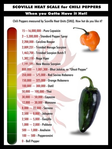 Scoville chili peppers retro - scoville,