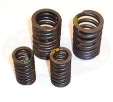 Valve springs set 152qmi - springs,