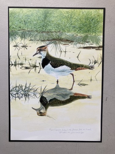 British bird print - bird,