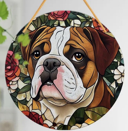 English british bulldog - bulldog, dog