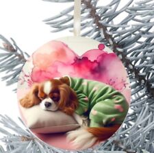 King Charles Cavalier Spaniel