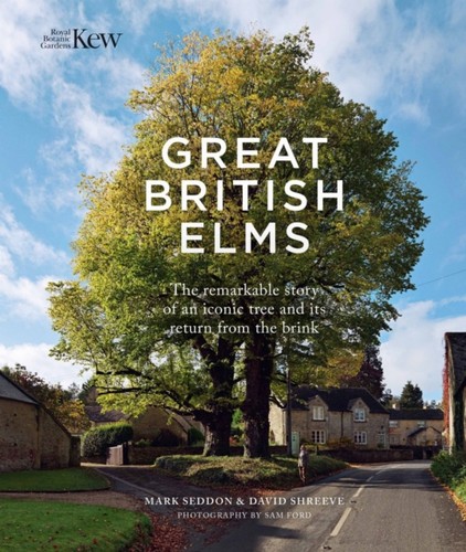 Great british elms seddon - elms,