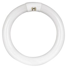 New FEIT FC12T9/CW 12"