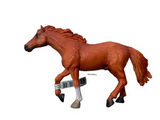 COLLECTA CHESTNUT PINTO
