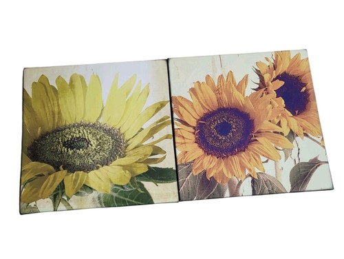 Sunflower canvas flower oil - sunflower,