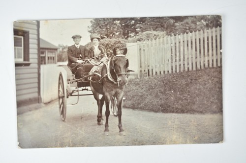Couple horse drawn carriage - couple,