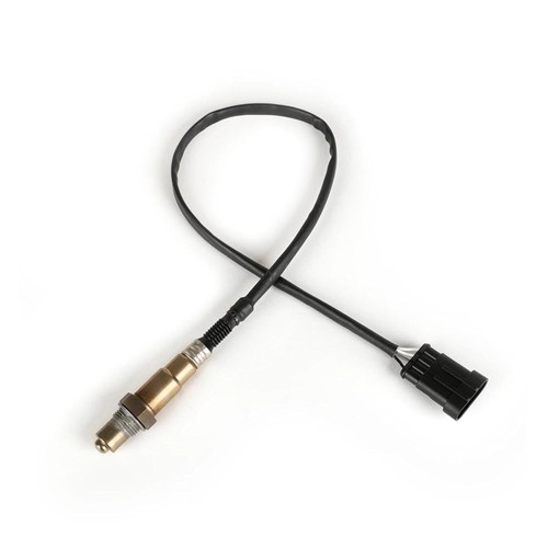 Oxygen sensor for - oxygen, g310