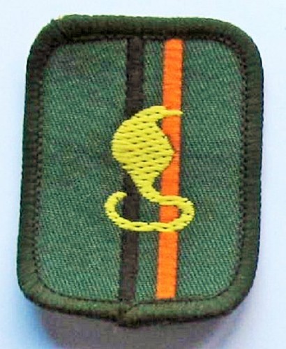 Scout patrol badge cobra - badge,