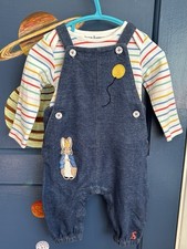 Joules Peter Rabbit Party