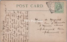 Genealogy Postcard - Maynard