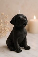 Rottweiler Dog Candle -