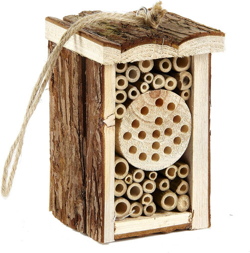 Small wooden insect - small, eco