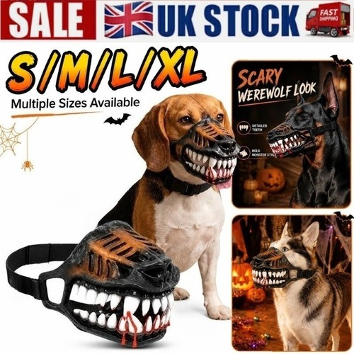 Scary dog muzzle funny - dog,