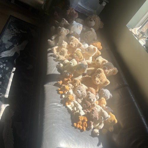 Bulk teddy bears - bulk,