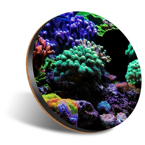 Round 12cm coaster - 12cm,