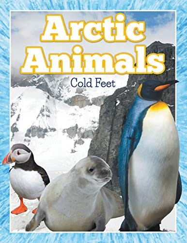 Arctic animals cold - arctic,