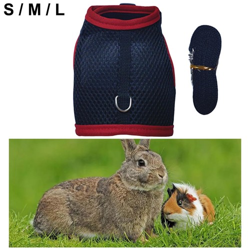 Rabbit harness and lead - rabbit, set