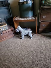 Giant Schnauzer Is My Best