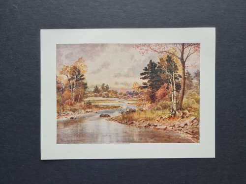Antique 1907 print - -, autumn