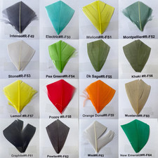80 Colours Peacock Herl