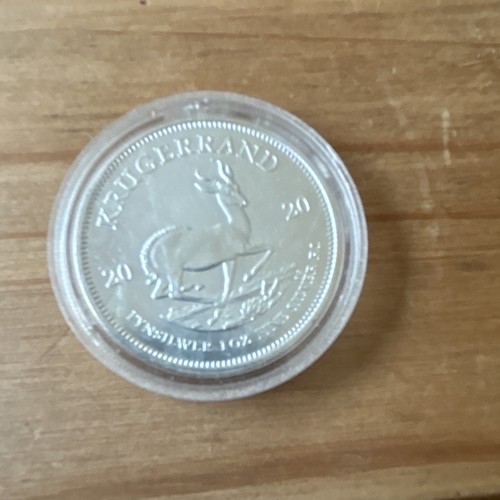 South african mint - south,