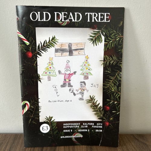 Old dead tree - tree, season