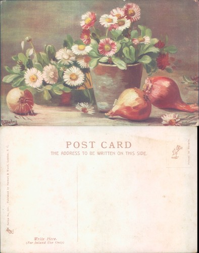 Flowers with onions - , stewart
