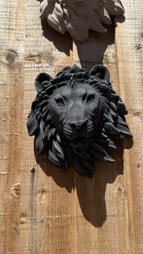 Stone lions head - , wall
