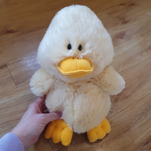 Carte blanche yellow chick - carte,