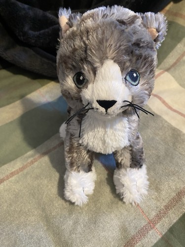 Soft grey tabby - grey, kitten