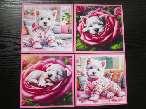 Cutie white highland - cutie,