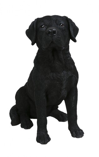 Black labrador dog lifelike - black,