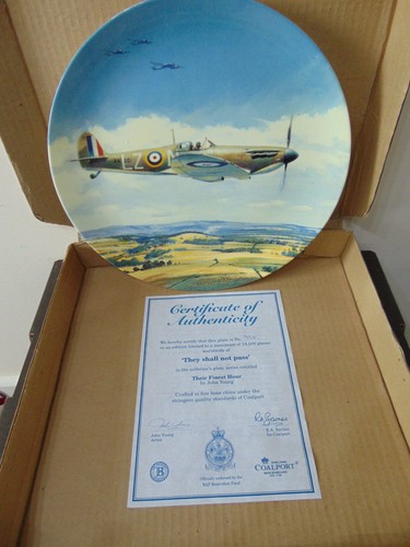 Coalport collectors plate - plate, they