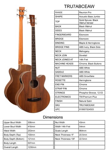 Guitar tanglewood model - tanglewood,,
