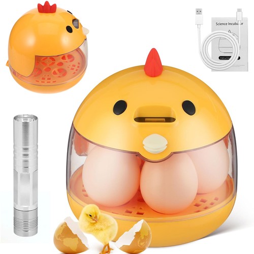 Eggs mini incubator small - eggs,