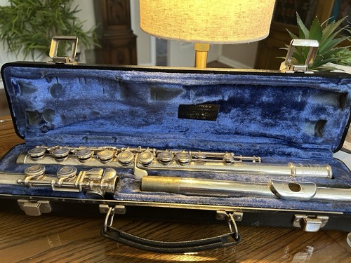 Silver flute hard case - silver,
