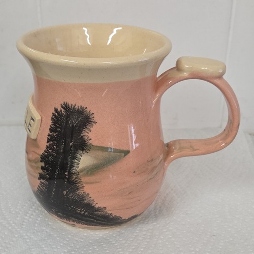 Boscastle pottery mocha - mocha, ware