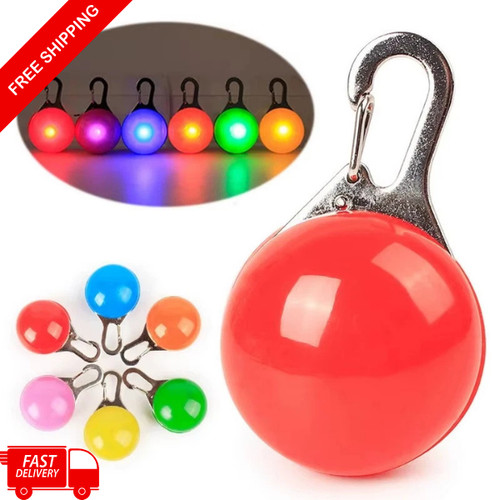 Led dog collar safety warning - collar,