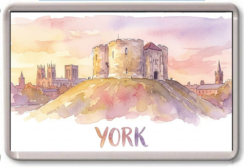 Fridge magnet york - fridge,