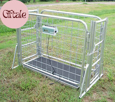 VS-660 Hog Sheep Goat Scale