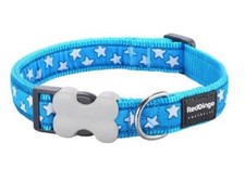 RED DINGO STAR COLLAR & LEADS