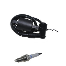Ignition Coil + NGK Spark Plug