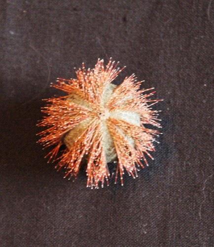 Ubcxommon pacific sea urchin - pacific,