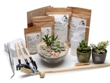Succulent Terrarium Kit DIY